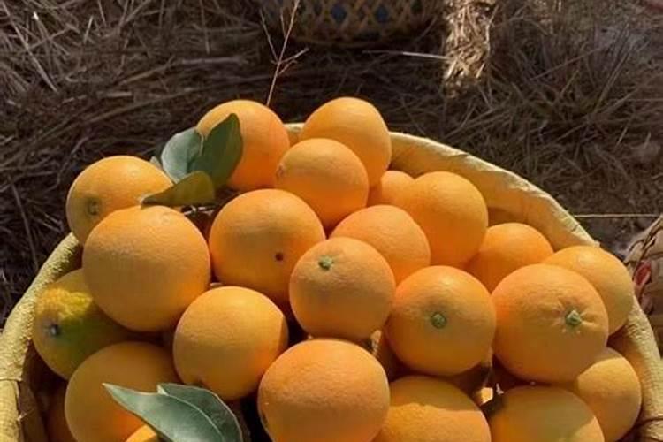 为什么我的脐橙,补了钙肥还是出现裂果呢？