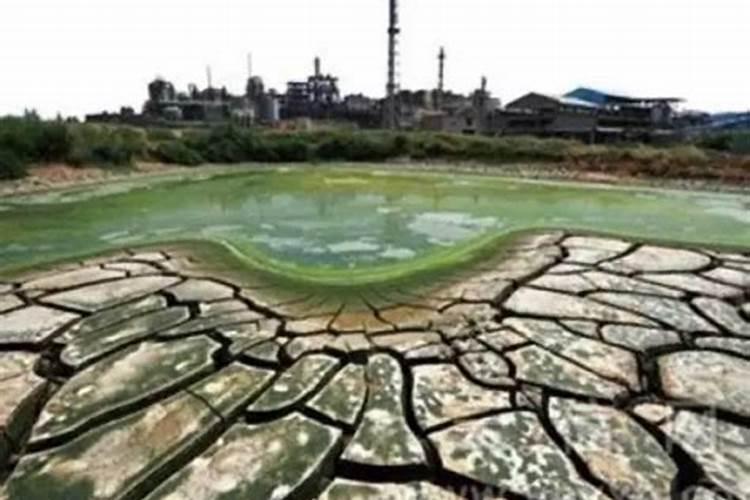 如何治理土壤中的化肥污染