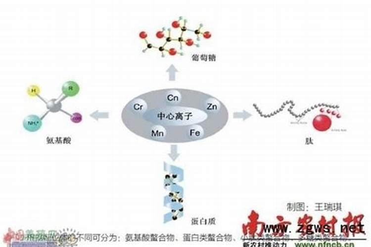 氮肥是什么肥料