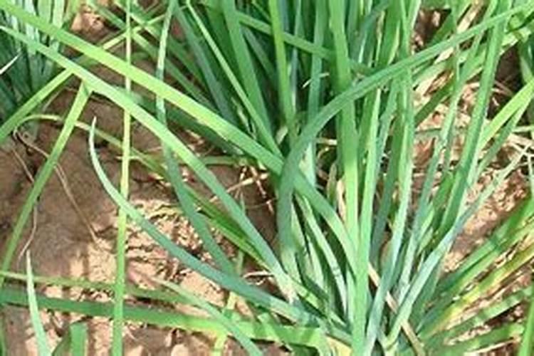 贵天化是名牌吗