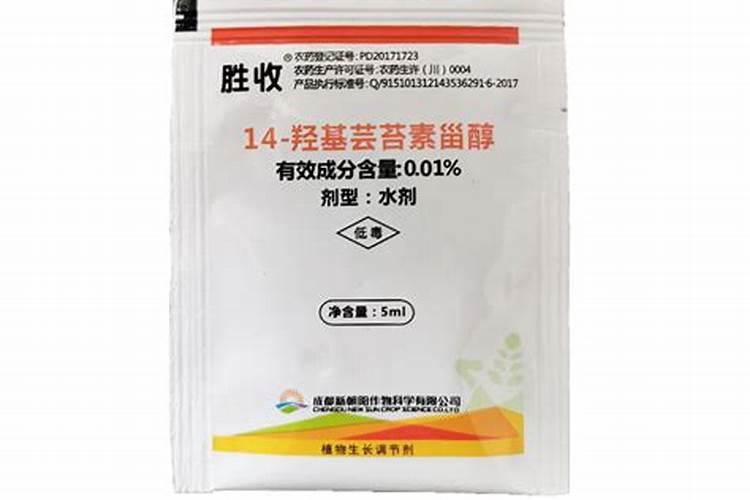 芸乐收多少钱一袋