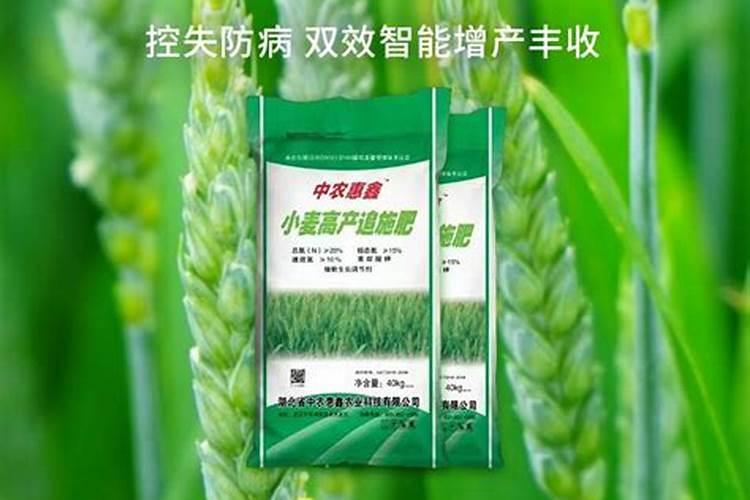 鱼蛋白肥料的使用技巧