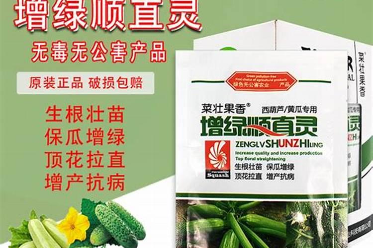 西葫芦施什么肥能高产 高产的方法有哪些