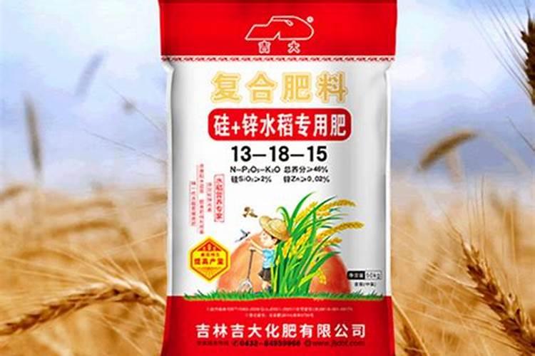 盆栽兰花怎么防止烂根？