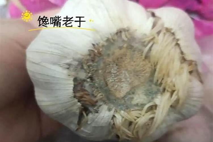 大蒜栽培时,要使尿素的作用最大化发挥,有哪些科学方法？