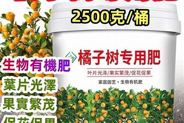 桔子树施肥用什么有机肥？