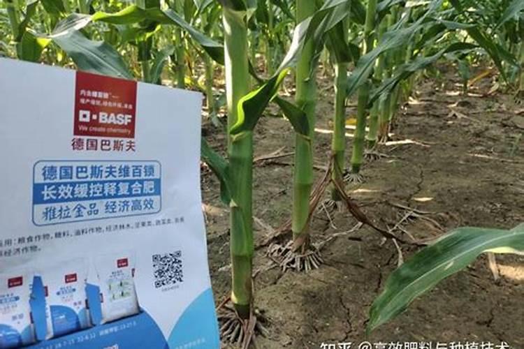 叶面肥什么时候喷较好？