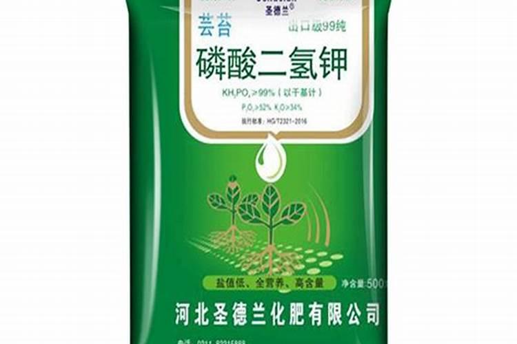 火龙果开花要施什么肥