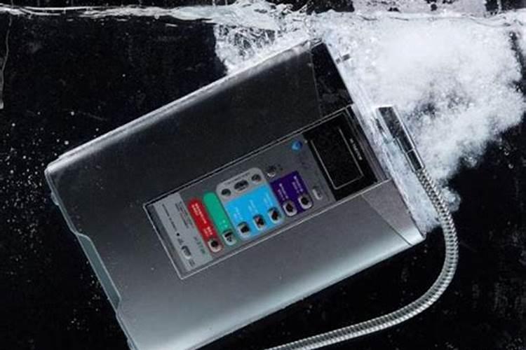 六角刺果子功效