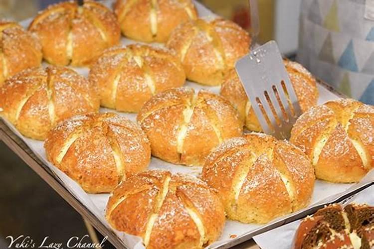 这些花养1种,就能让人羡慕一辈子