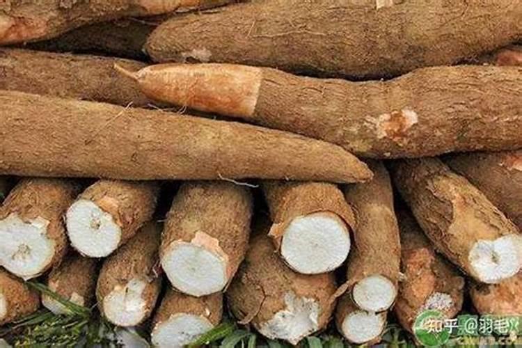 钾肥最适用哪些作物