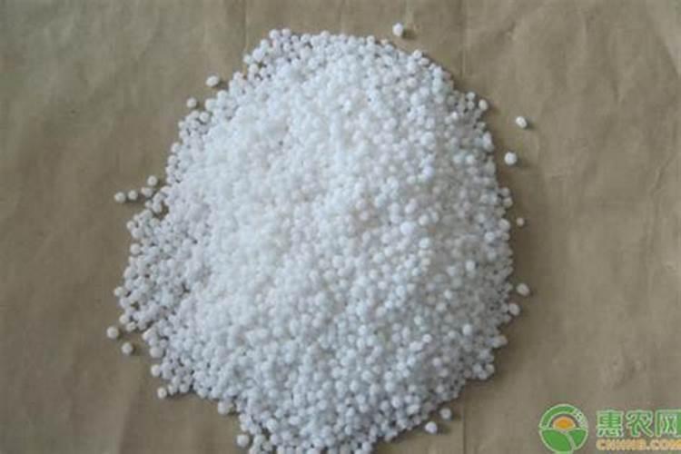 过磷酸钙能和复合肥一起用吗 过磷酸钙和复合肥能在一起吗