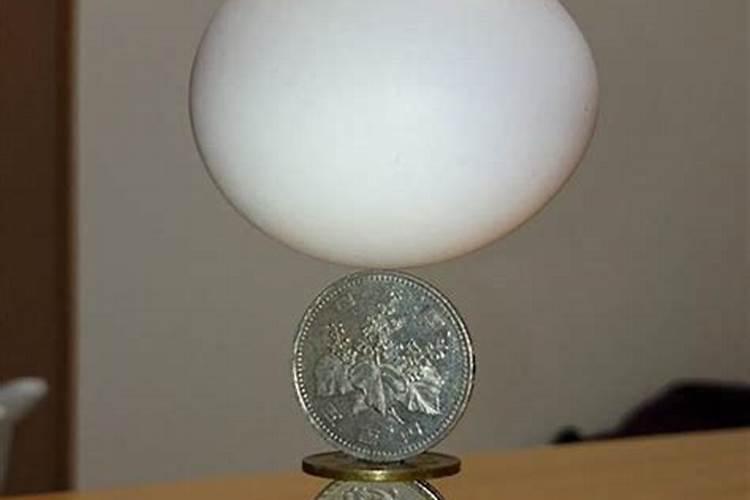 平衡肥是什么肥