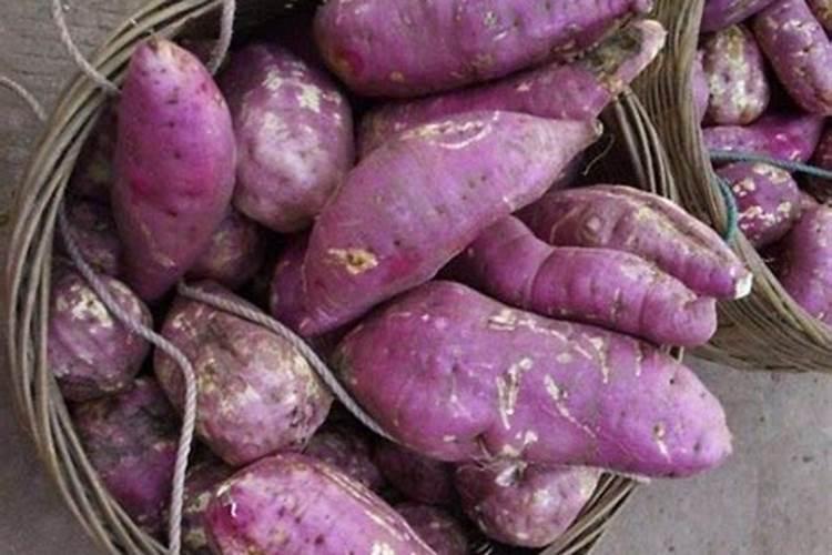 藤椒采摘下来之后为什么会变黑