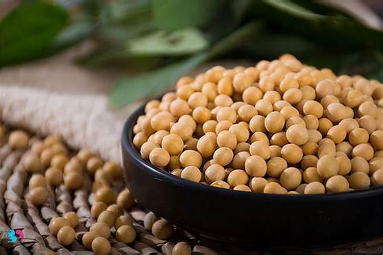 如何制作纳豆菌