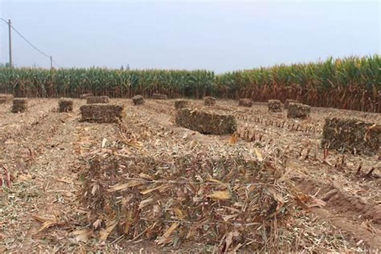 上海亿霖润滑材料有限公司怎么样？