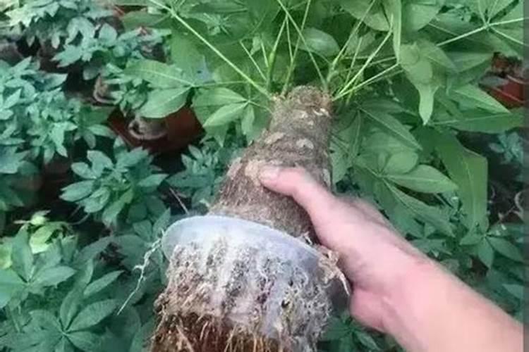 润滑部位黄油黄油枪打不进去润滑脂有什么办法