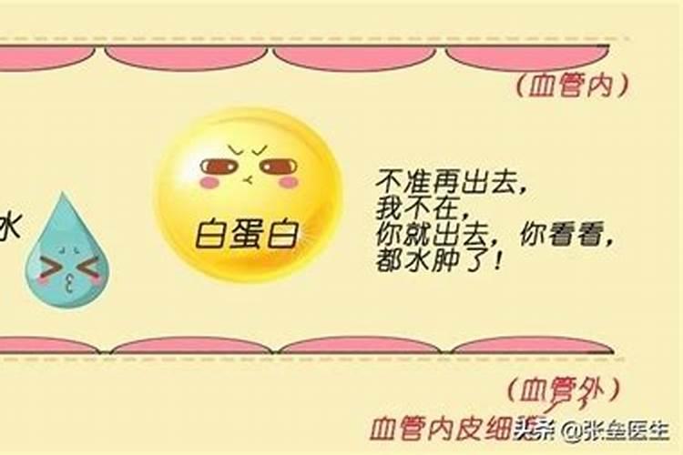 枣庄最大的蔬菜批发市场