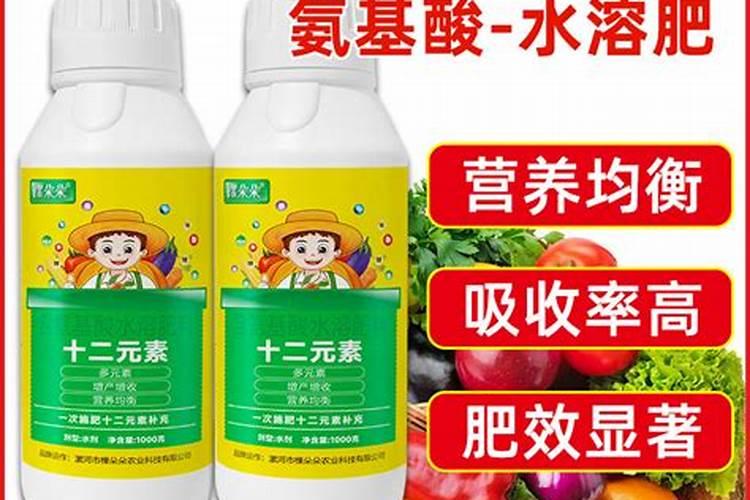 茉莉开花时如何施肥