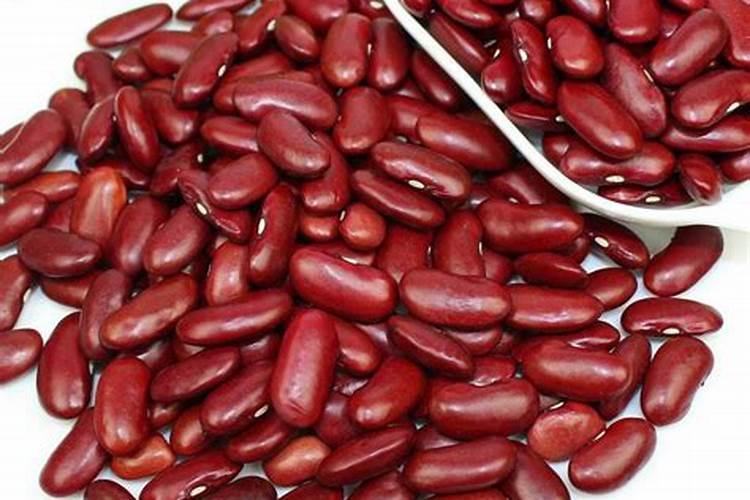 秋红芸豆多少天开花结角？