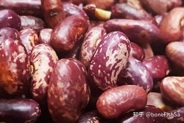 芸豆的生长期是多少天？