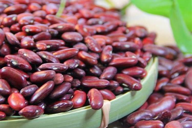 芸豆的功效与作用和营养价值