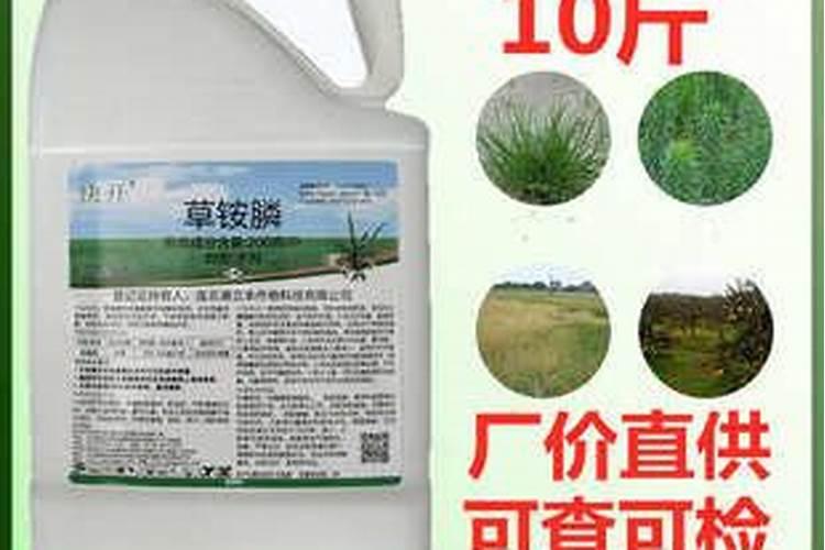 诺普信除草剂怎么样