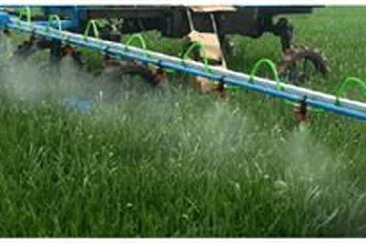 园林绿化除草剂有哪些