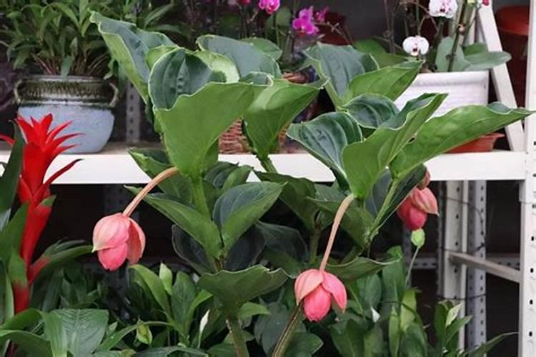 锌与哪些物质反应产生化学反应