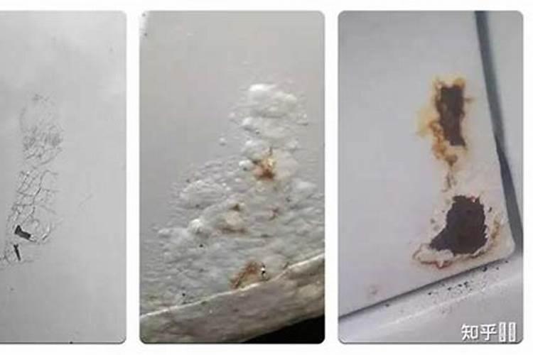 为什么鸟粪是宝贵的肥料？