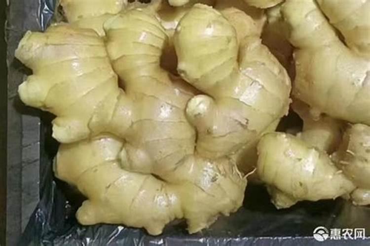 怎样给海棠施氮肥