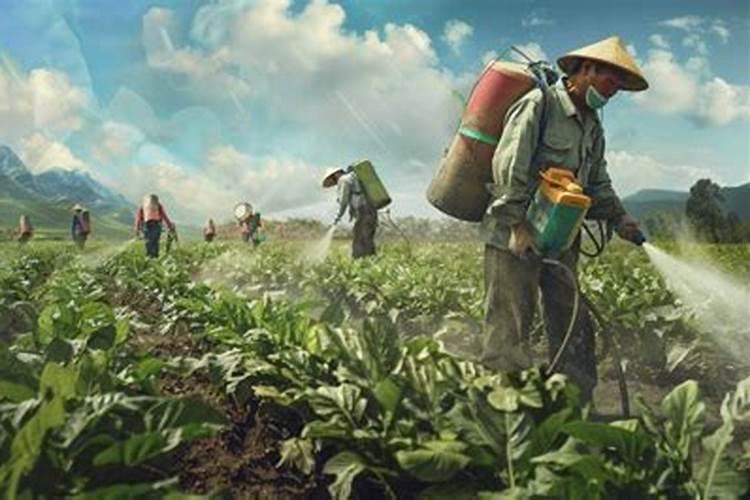 花生三遍药高产配方