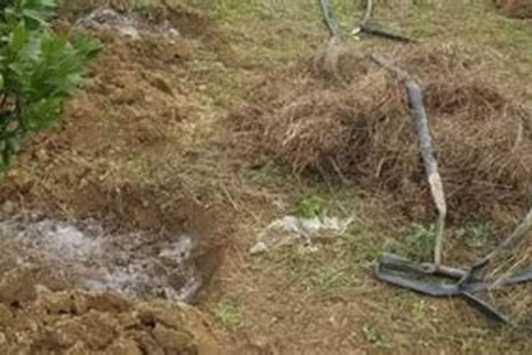 复合肥撒地里几天没下雨能失效吗