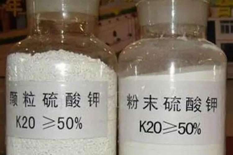 柑桔施钾肥最佳时间 正确使用方法有哪些