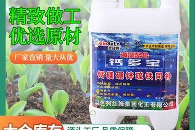 钙肥的作用及施用方法