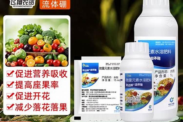 兰花喜欢什么肥料