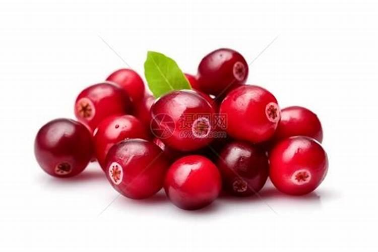 中国哪里产蔓越莓之乡