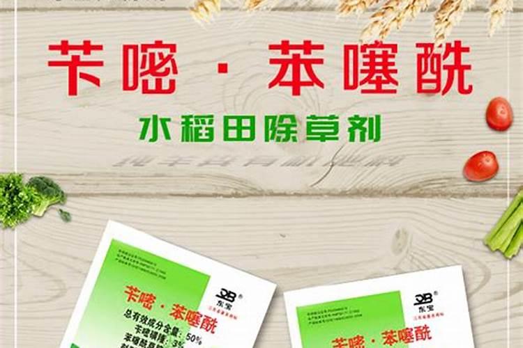 水稻扬花期高温有影响吗