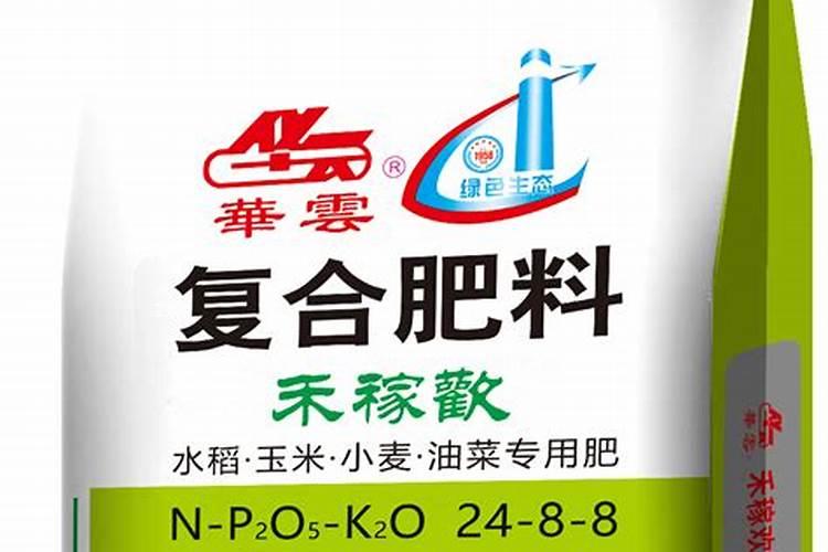怎样给白掌施肥(白掌施肥施什么肥料)