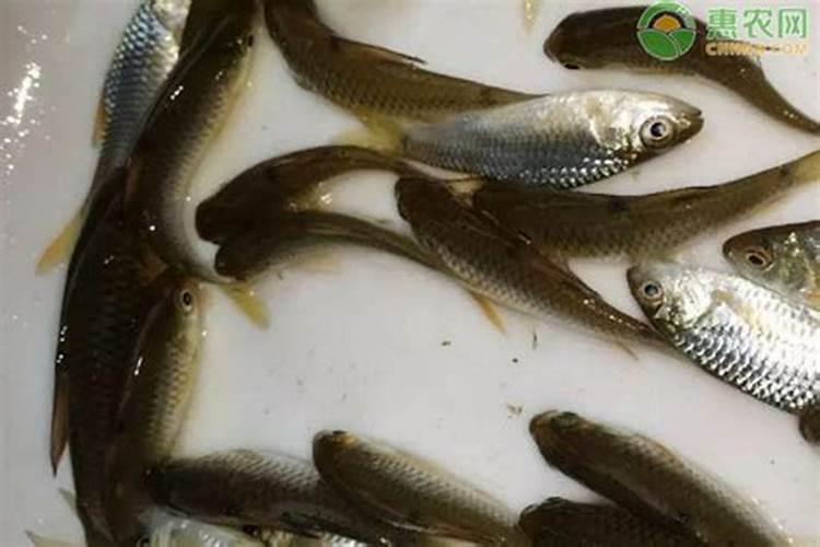 胶原蛋白开封后一定要冷藏吗？