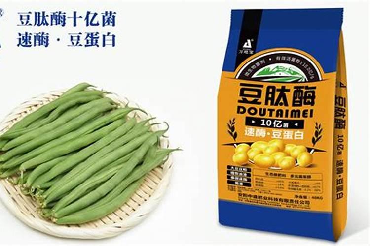 生长栽培过程中芸豆施肥方案总结