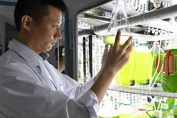 给棉花浇哪种肥好？配比是什么？