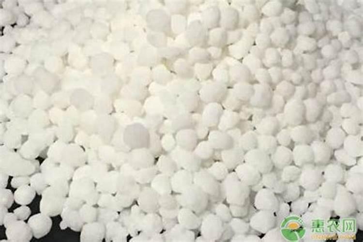 桃树膨果用什么肥料长势好？桃树膨果用什么肥料好？