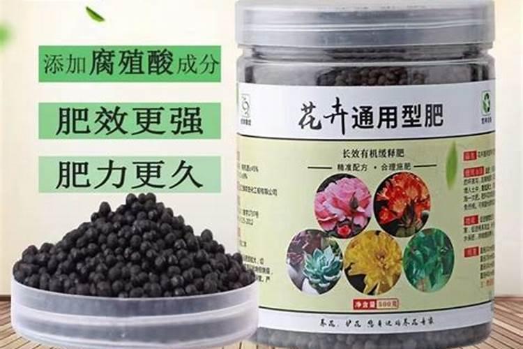 柠檬施用什么鱼蛋白肥？