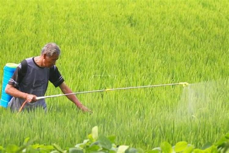 小麦追肥用硝酸磷好吗 什么时候使用效果好