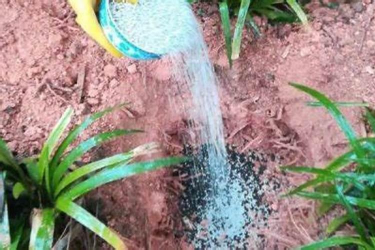 叶面肥什么时候打效果好 叶面肥喷施注意事项