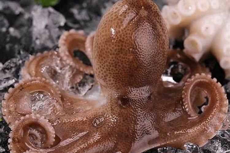 蓝色肥料对人体有害吗