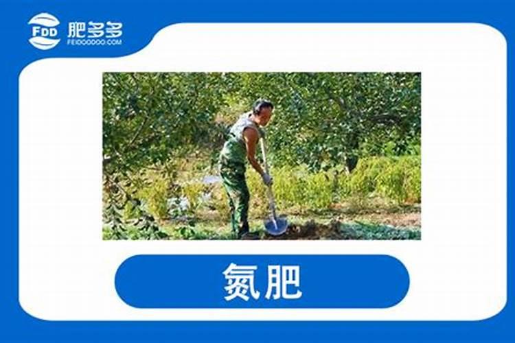 冲施肥会产生肥害吗