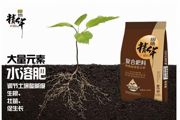 芝麻用复合肥还是用尿素