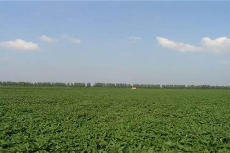 先天性肾上腺皮质增生症的症状有哪些